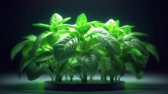 茁壮成长背景图片_罗勒植物在 LED 生长灯下茁壮成长的 3D 插图