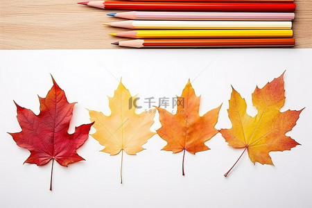 彩色铅笔旁边有一张纸，上面有不同颜色的叶子