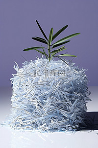 碎纸片背景图片_生长在碎纸片中的植物