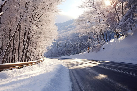 冬天的路 冬天白雪皑皑的森林覆盖着阳光