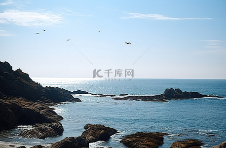 岸上的波妞背景图片_阳光明媚的日子里，岩石海岸上有一些海鸥飞过