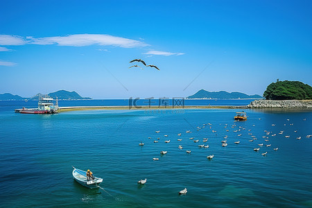 海上的鸟背景图片_一只鸟盘旋在几艘船和一座岛屿附近的水域上空