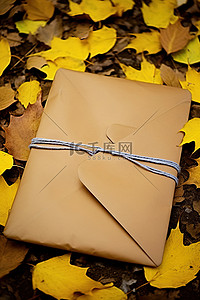 邮局背景图片_街上铺着树叶的棕色笔记本，上面有邮局信封