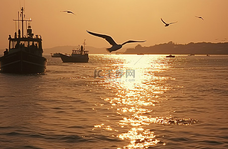 飞翔的船背景图片_海鸥在水面稍稍飞翔