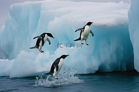 寒冷极地背景图片_企鹅冰山