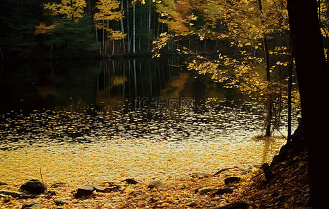 森林中间的一个湖，叶子黄了