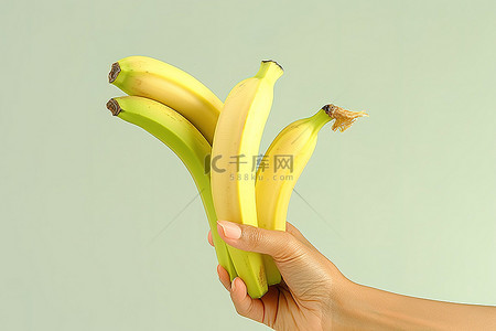 一只手掌拿着一根香蕉，上面有皮