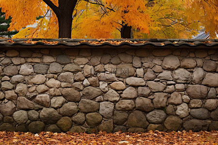 朵云书院背景图片_秋天的石墙