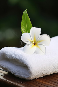 毛巾顶上有一朵小白花的图像