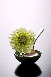一朵绿花坐在勺子上