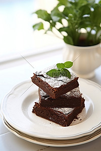 厨师布朗熊背景图片_将布朗尼蛋糕堆放在白盘上，并配有盆栽植物