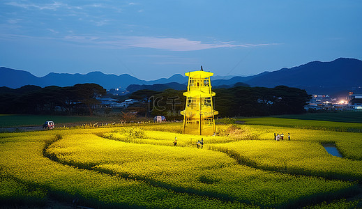 从上方看黄昏时的农田塔