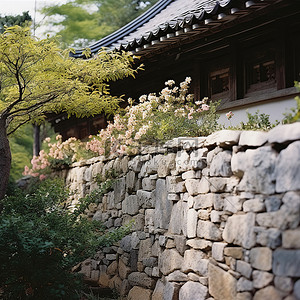 山茶花树背景图片_一座开满鲜花的石屋附近的石墙
