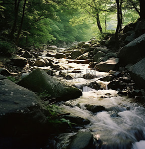 散布背景图片_一条小溪流过散布在树林里的巨石