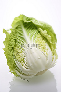 油渣白菜背景图片_白色表面上显示蒸白菜