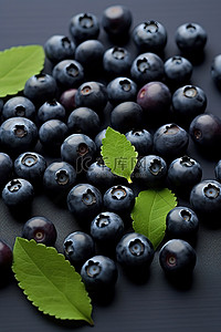 蓝莓奶酪背景图片_蓝莓和蓝莓蓝莓种子免版税