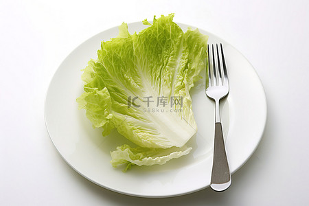沙拉盘背景图片_生菜沙拉盘叉白色