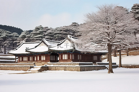 冬天雪景城堡背景图片_韩国庄园 汉城城堡 韩国