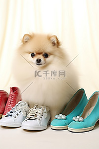 一只博美犬小狗坐在一些鞋子旁边