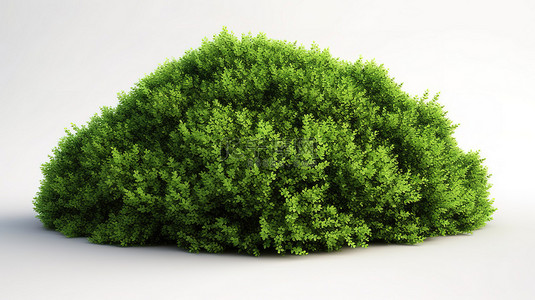 生态花背景图片_白色背景下绿色灌木的生态景观设计 3D 渲染