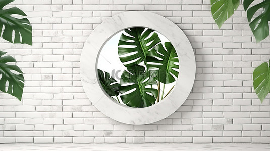 白花朵背景图片_带圆形窗口的白砖背景下龟背竹植物叶子的 3D 渲染