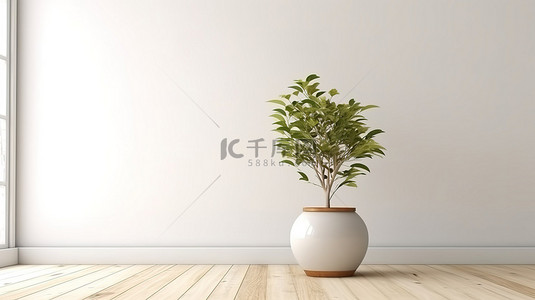 时尚的花瓶和盆栽植物在白墙背景 3D 渲染中突出木桌