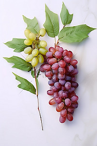 纸上的葡萄和绿葡萄