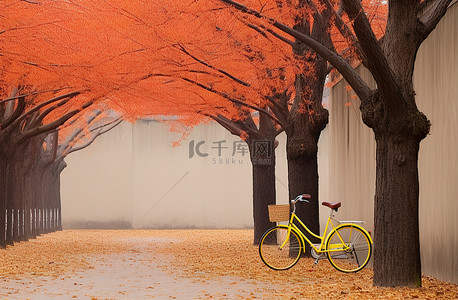 秋天旅游背景图片_骑自行车穿过 Suhwngryng 寺的小路