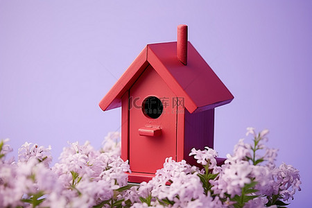 一个简单的红白色鸟屋坐落在一些紫色的花朵上