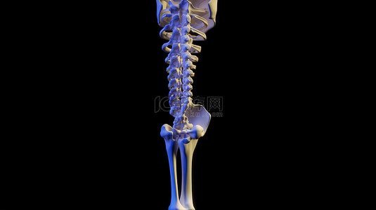 手骨骨骼背景图片_具有医学准确性的股骨 3D 渲染图