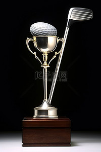 两支高尔夫球杆荣获年度高尔夫奖杯