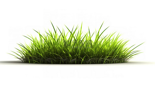 单个背景图片_白色背景下单个绿草叶片的 3D 渲染