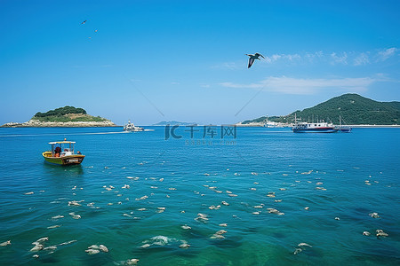 海上的鸟背景图片_一只鸟盘旋在几艘船和一座岛屿附近的水域上空