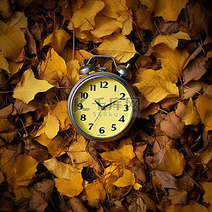 落叶银杏背景图片_黄色叶子制成的时钟