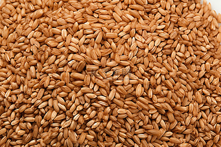 亚马逊主图背景图片_谷物 亚马逊 com 食用品 糙米