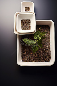 盆栽发芽背景图片_藤制方形托盘和容器