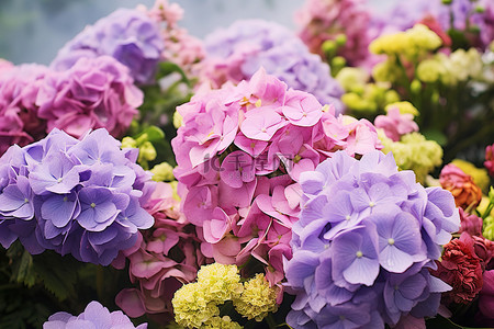 夏天院子背景图片_院子里种着紫色粉色和绿色的花朵