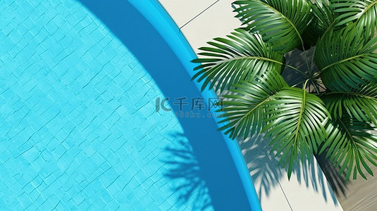 夏泳池背景图片_顶视图夏季背景与简约的游泳池和蓝色的水完美的热带度假 3D 渲染