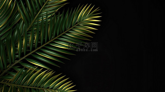 现代风格的优雅棕榈叶设计非常适合海报或小册子封面黑色背景上的 3D 渲染