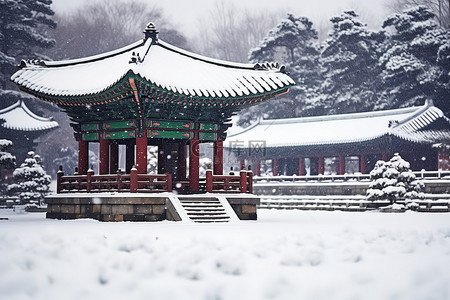 被雪覆盖的宝塔的雪景图像