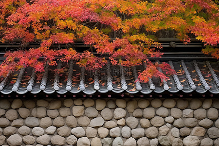 石屋墙上色彩缤纷的秋叶和花朵