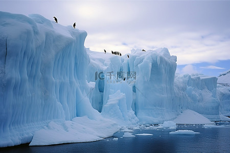 企鹅海的背景图片_南极冰山上的企鹅