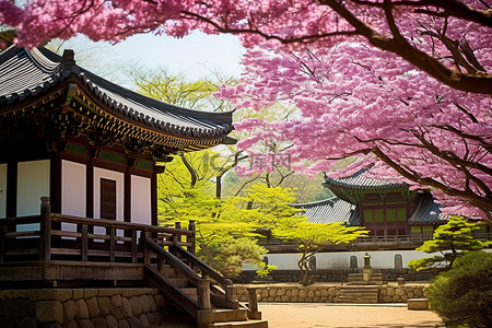 悬空岛上背景图片_韩国三州岛上的寺庙