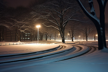 公园路背景图片_晚上的公园，有树木和积雪的道路