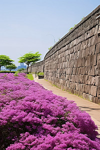 济州老城公园和石墙