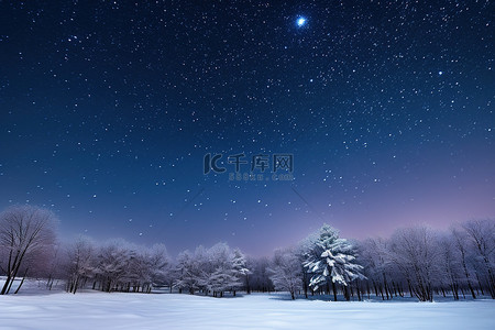 森林夜晚背景图片_雪的图像覆盖了户外的一些树木和上面的天空
