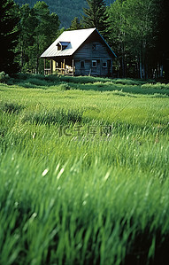 休息区温馨提示背景图片_房子后面的绿草