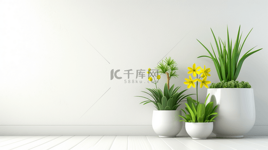 白色简约室内场景清新花瓶盆栽的背景2