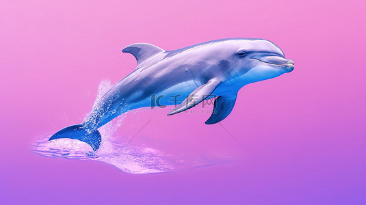 双色调宽吻海豚 tursiops truncatus 在粉红色水域滑行 3d 渲染