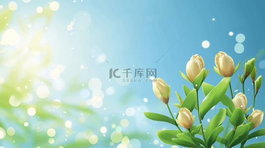 简约绿色墙面有花瓶花朵的背景图6